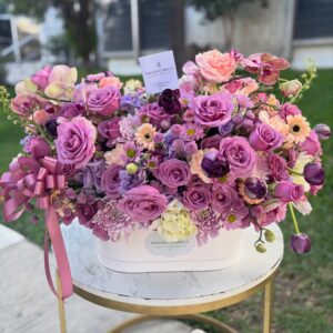 BOX LAVANDA