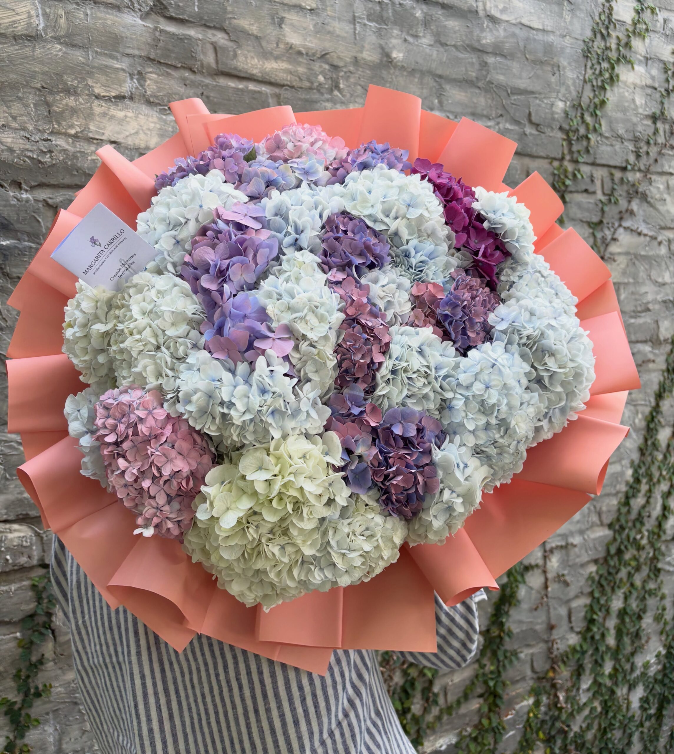 RAMO HORTENSIAS JUMBO