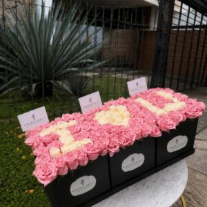 CAJAS ILU