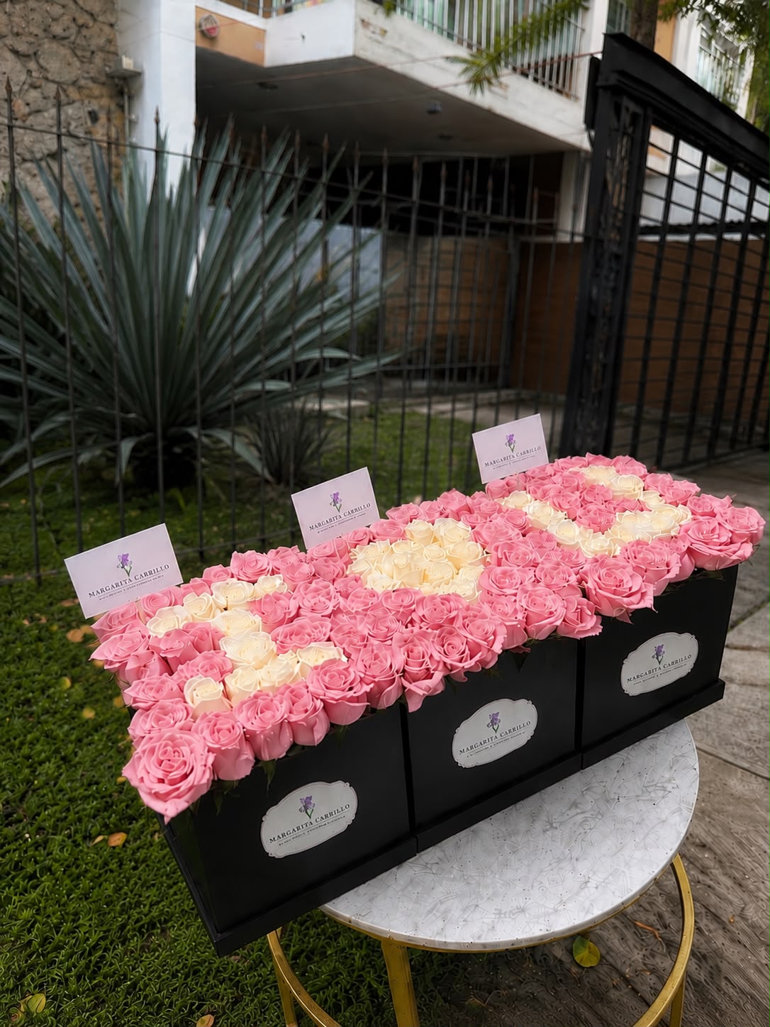 CAJAS ILU