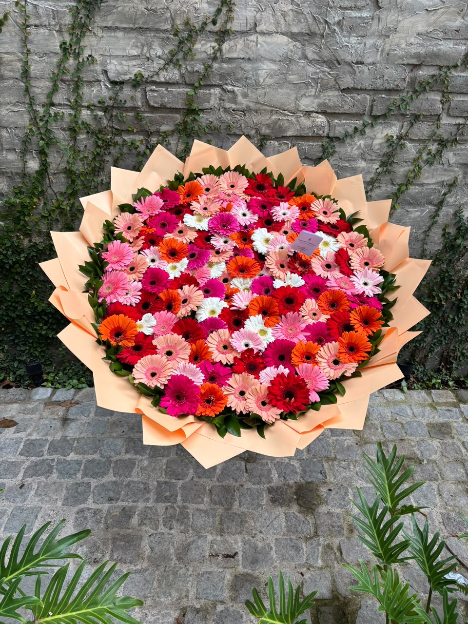 RAMO GERBERA JUMBO